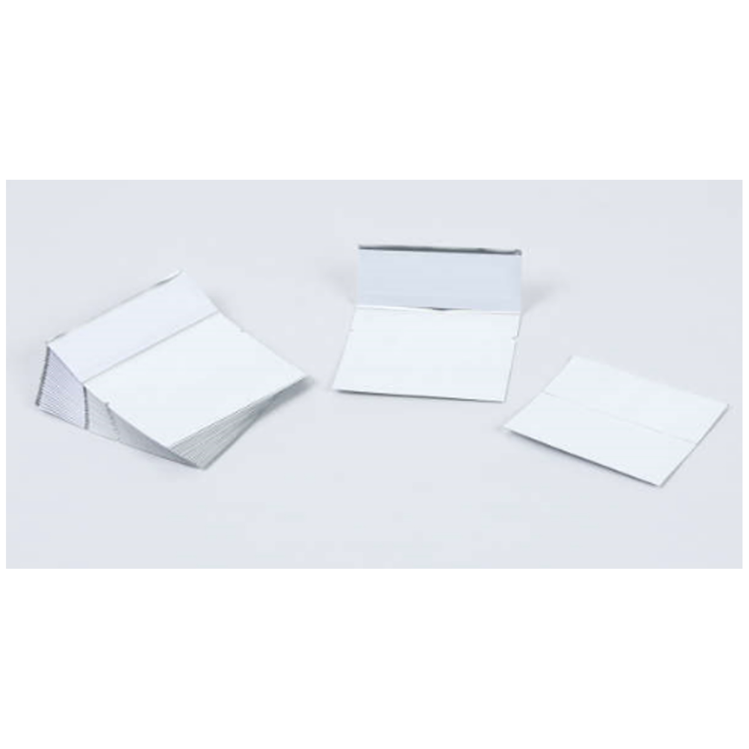 Qiagen # WB100036