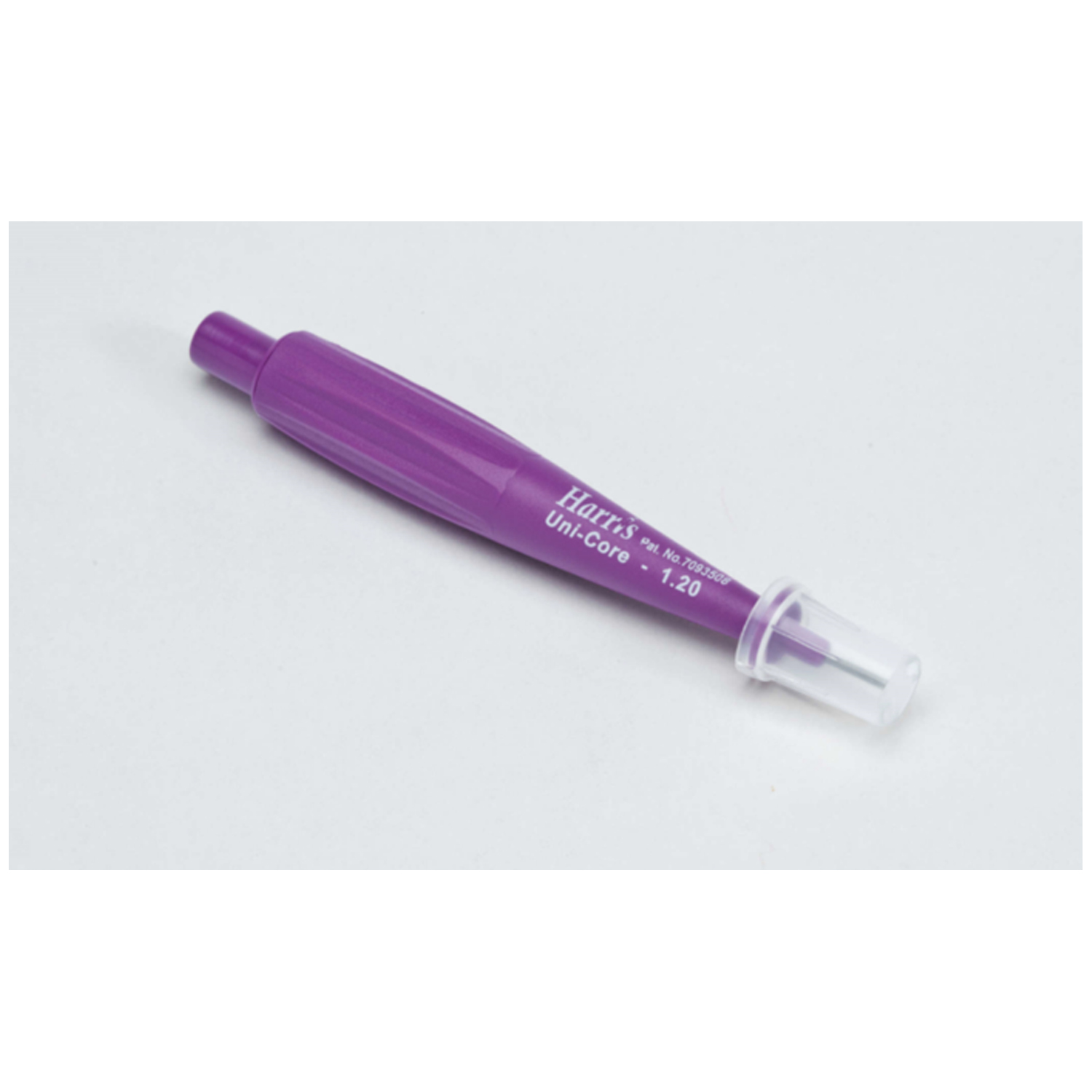 Qiagen # WB100074