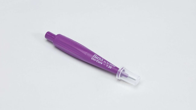 Qiagen # WB100078