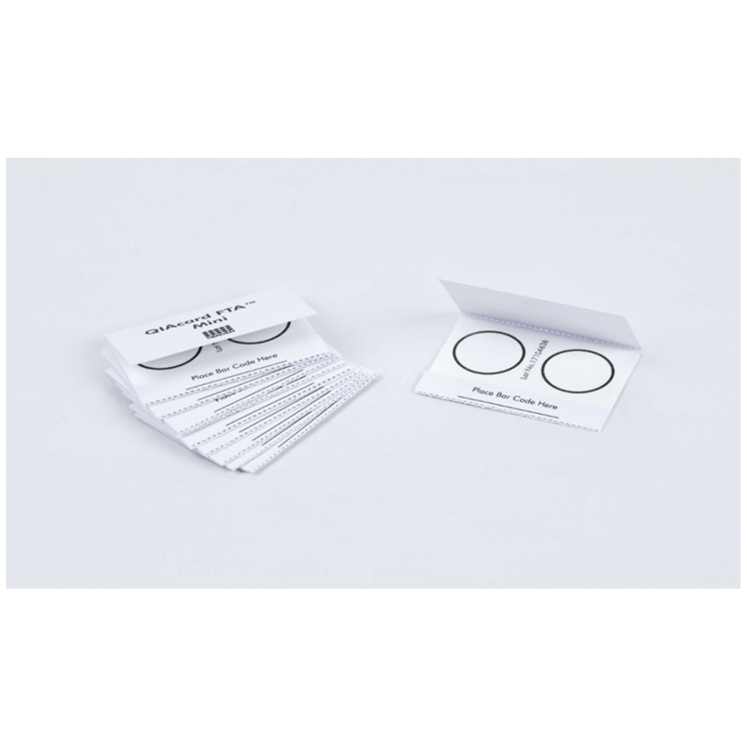 Qiagen # WB120055
