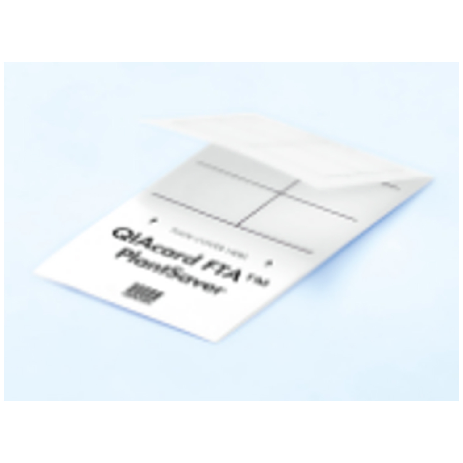 Qiagen # WB120065
