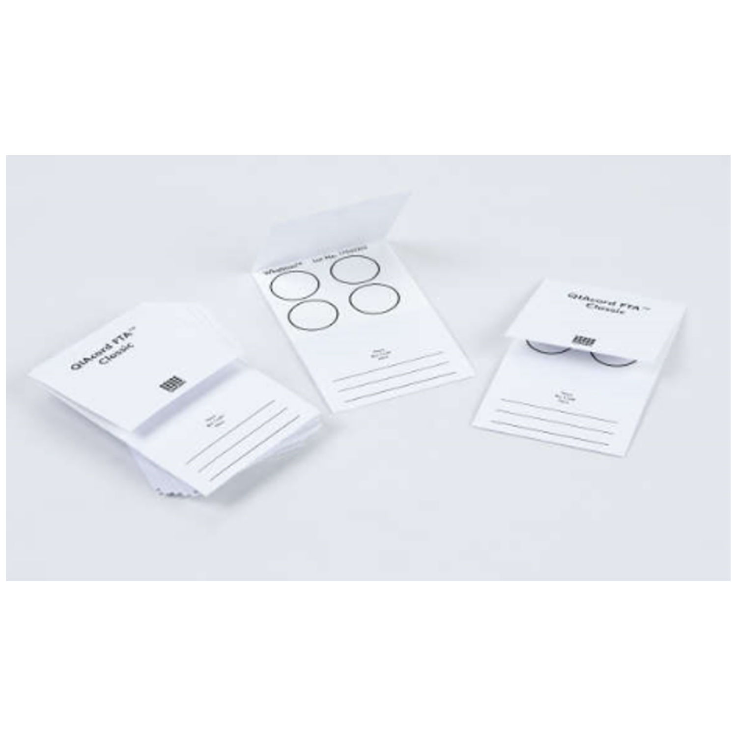 Qiagen # WB120205