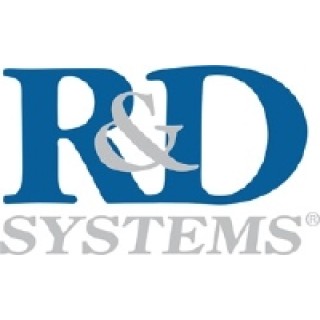 R&D Systems # CL024