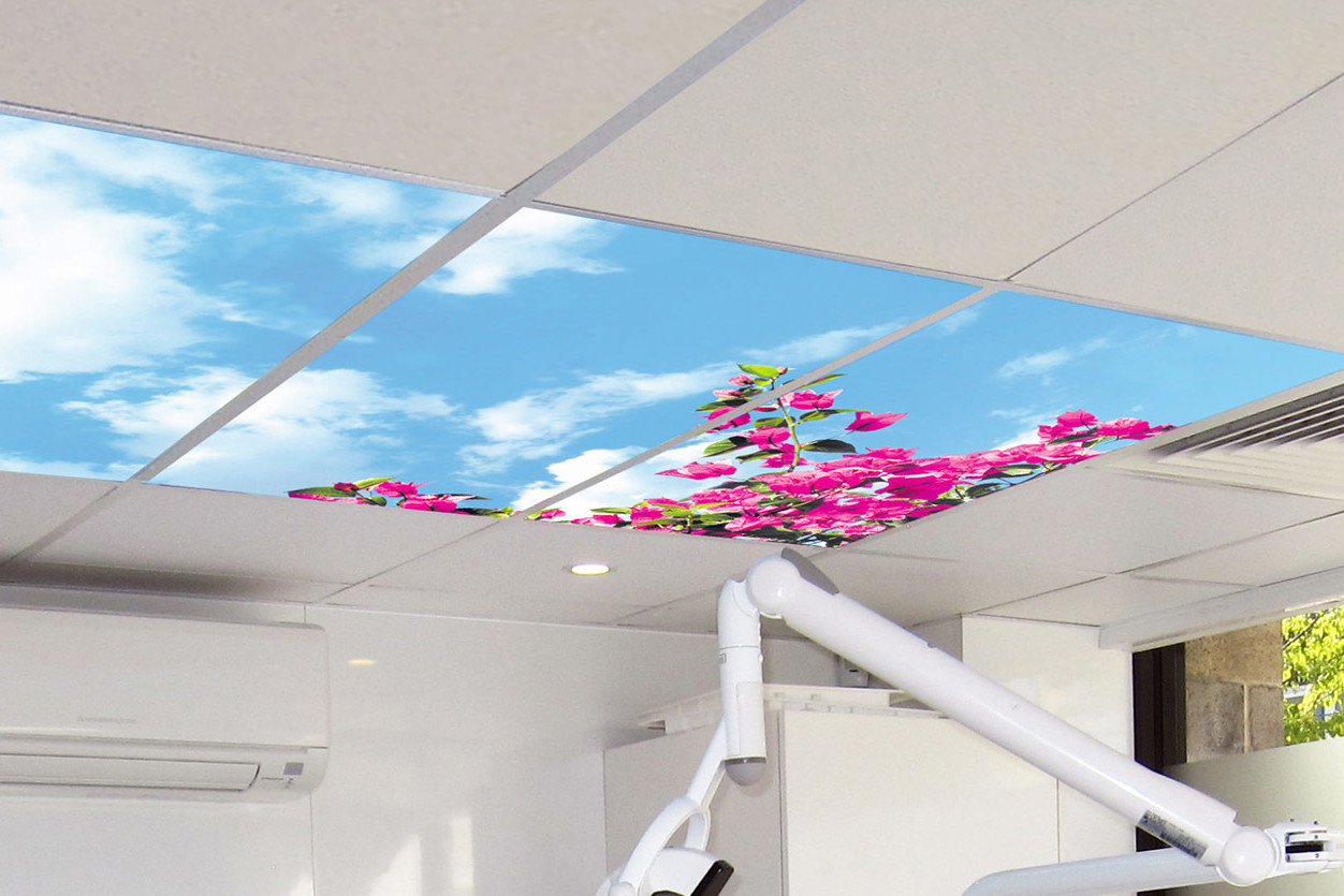 Repacorp Label Products # CLOUDS 6