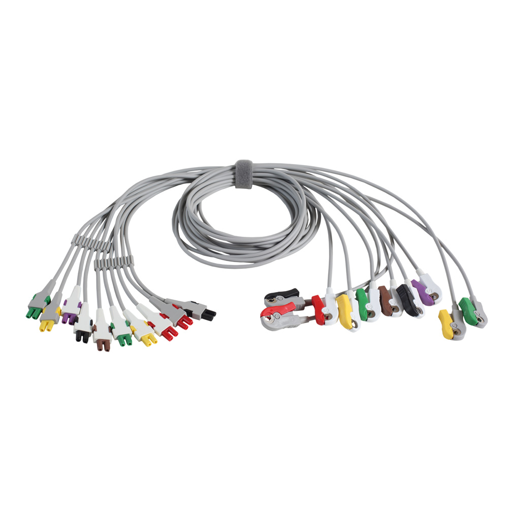 Soma Technlogies # AE3010