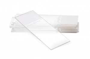 Statlab Medical Products # CS-FUNG/25
