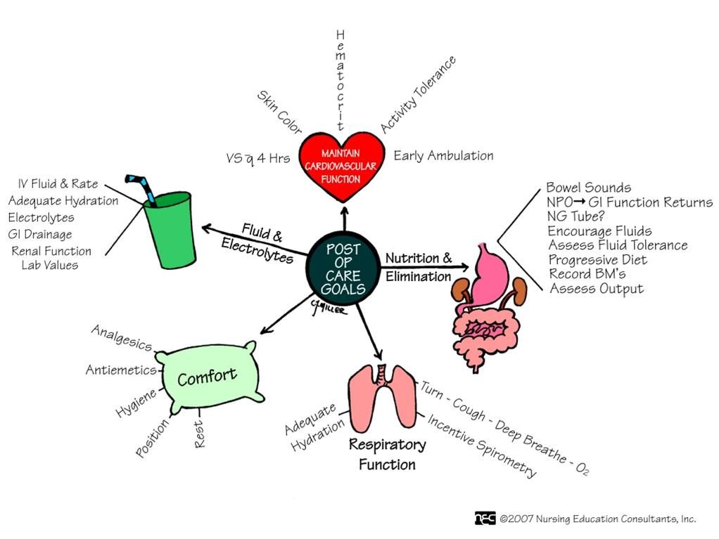 Violet Skin Care # 8