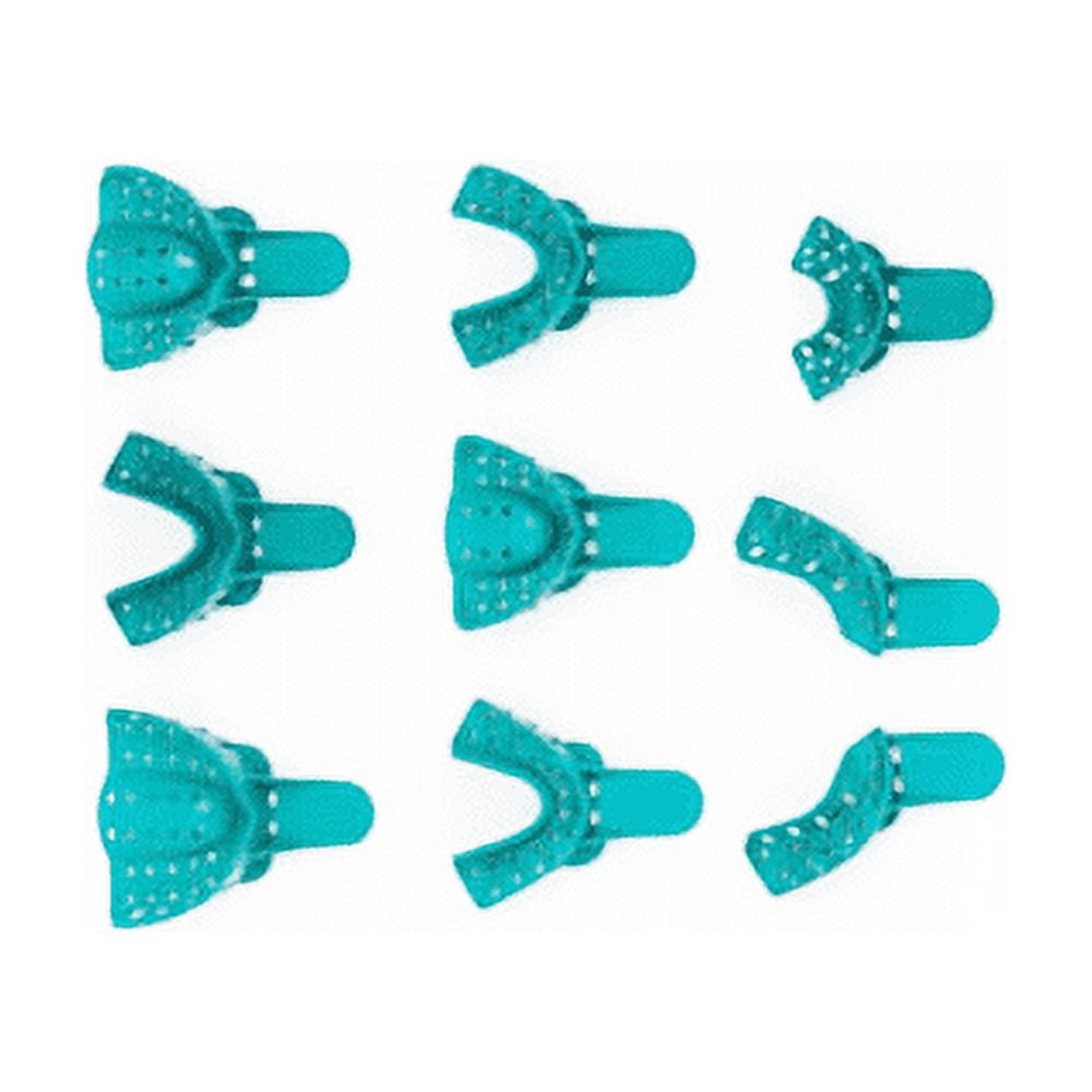 Vista Dental Products # 311008