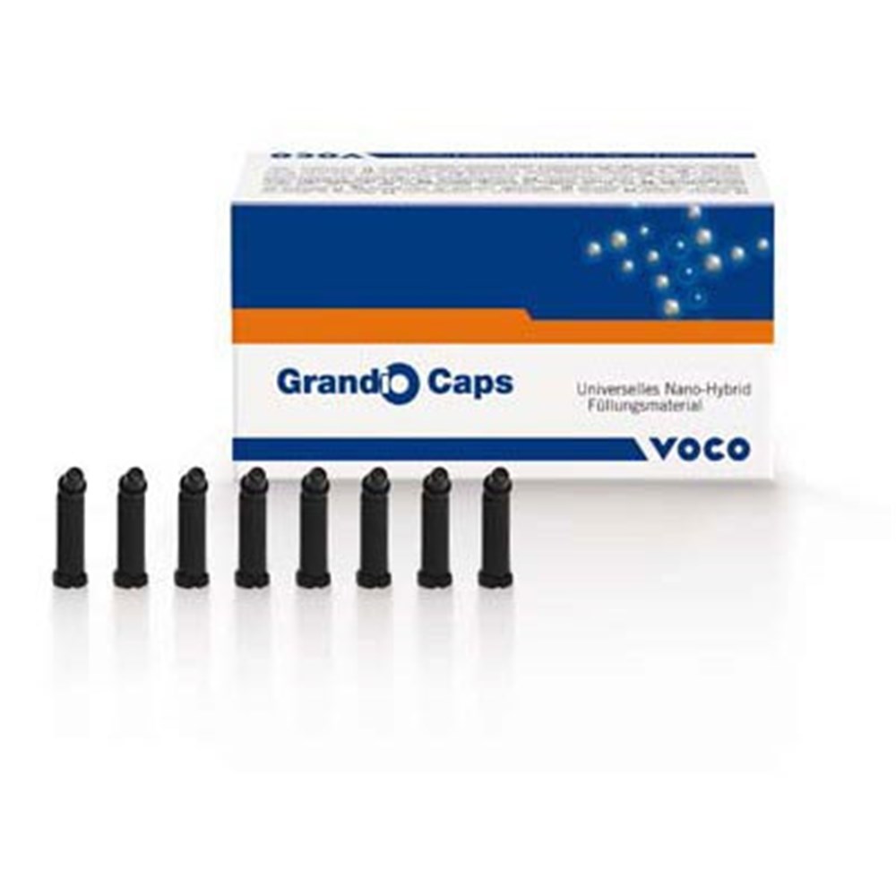 Voco GmbH # 1840