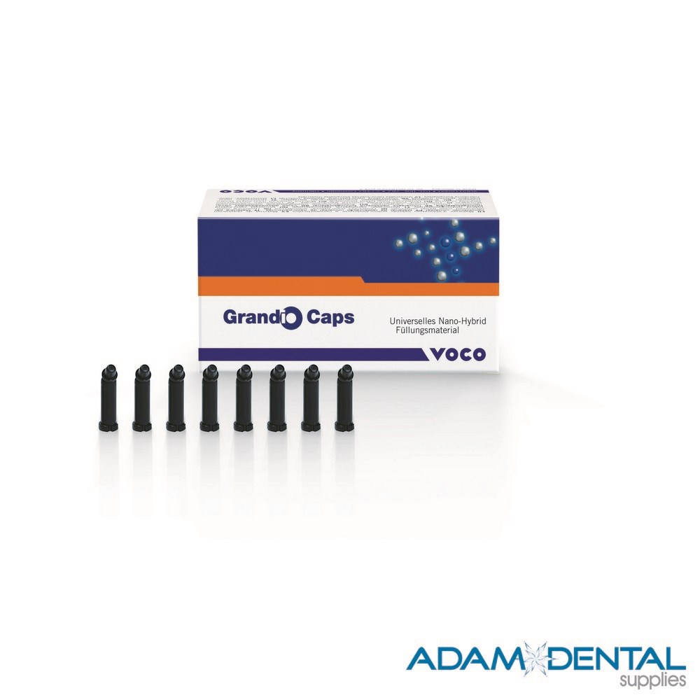 Voco GmbH # 1846