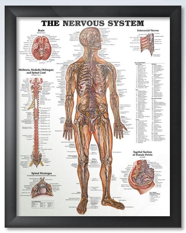Wolters Kluwer Health # 1587790017