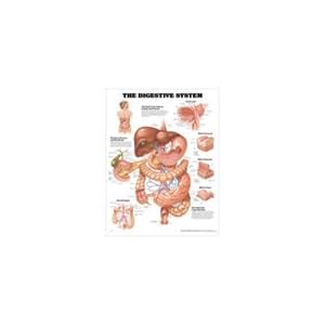 Wolters Kluwer Health # 1587790068