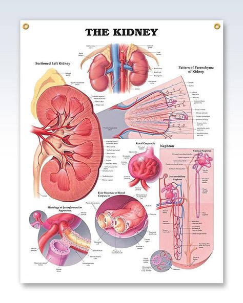 Wolters Kluwer Health # 1587791714