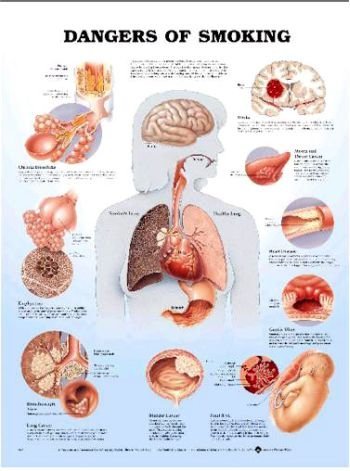 Wolters Kluwer Health # 1587792311