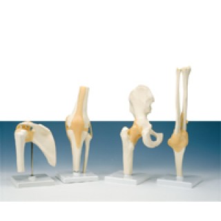 Wolters Kluwer Health # 1587796856