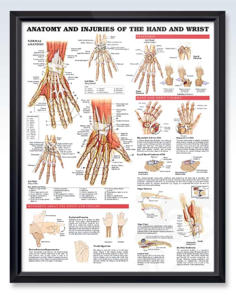 Wolters Kluwer Health # 1587796945