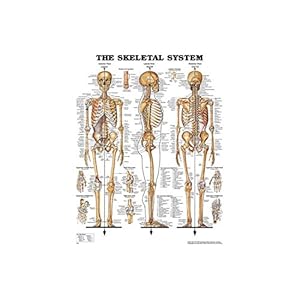 Wolters Kluwer Health # 1587797356