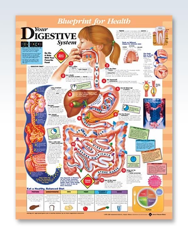 Wolters Kluwer Health # 1587797399