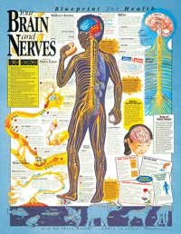 Wolters Kluwer Health # 1587797437