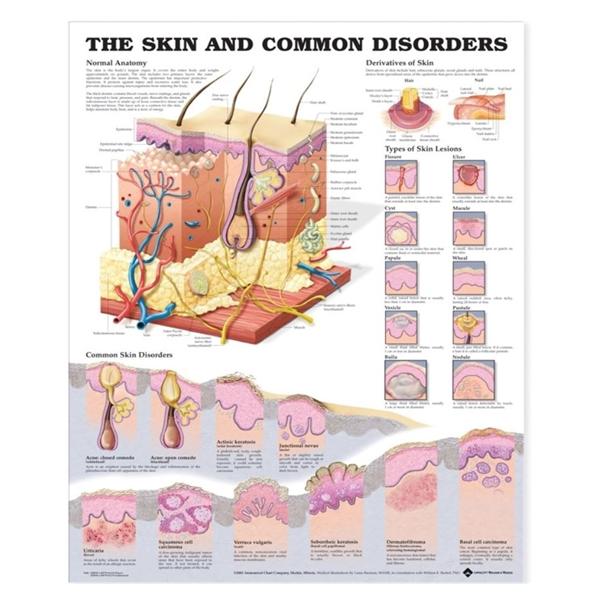 Wolters Kluwer Health # 1587797453