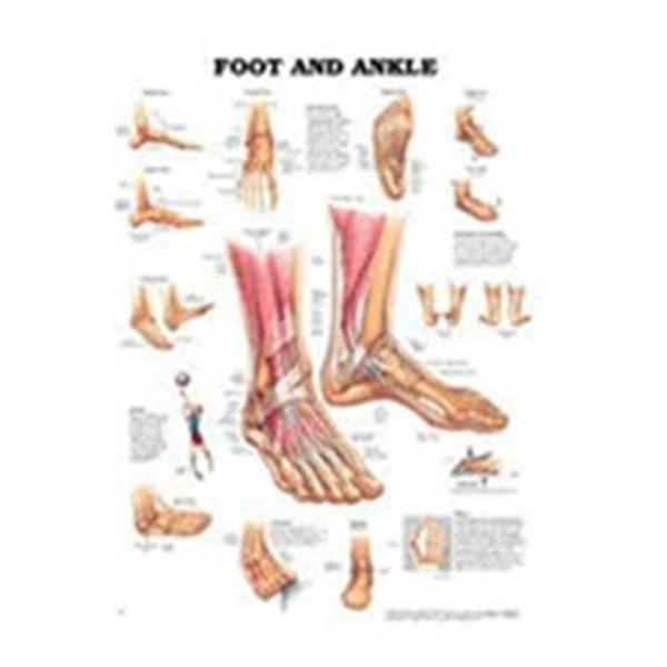 Wolters Kluwer Health # 1587798387