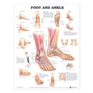 Wolters Kluwer Health # 1587798395