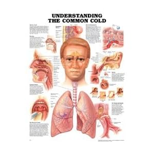 Wolters Kluwer Health # 781786312