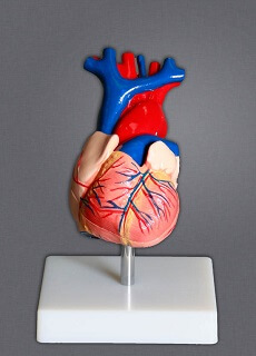 Wolters Kluwer Health # CH7