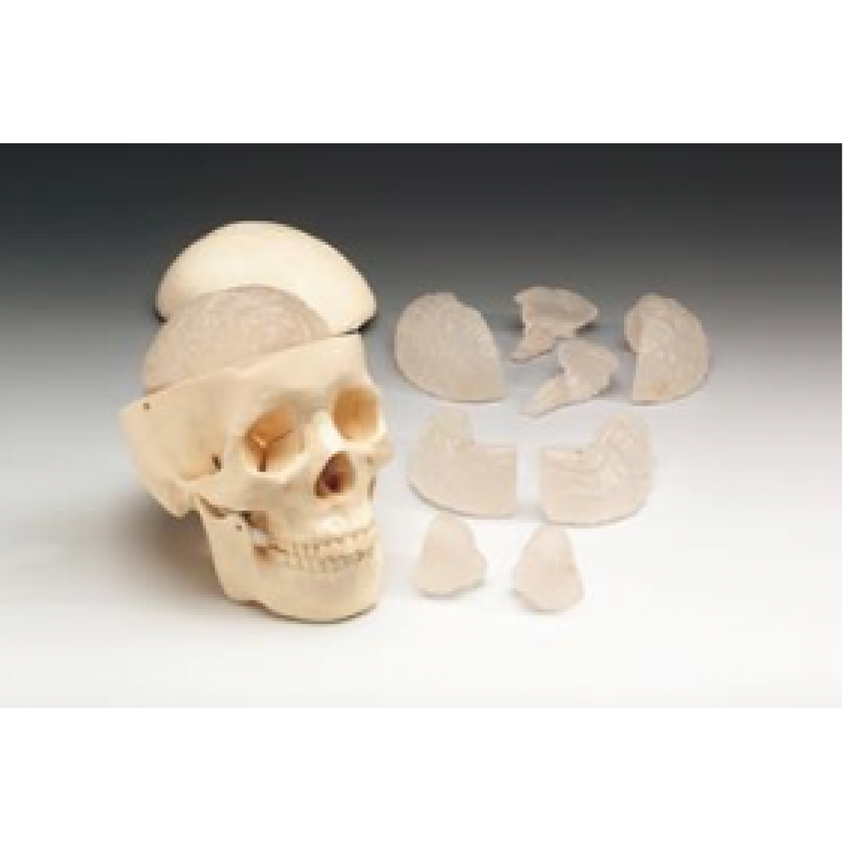 Wolters Kluwer Health # MO12C