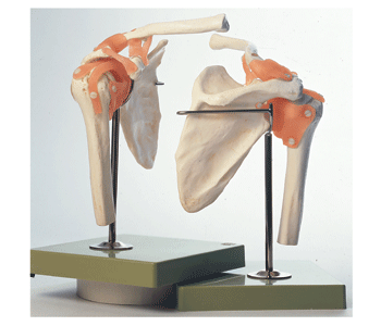 Wolters Kluwer Health # NS-53